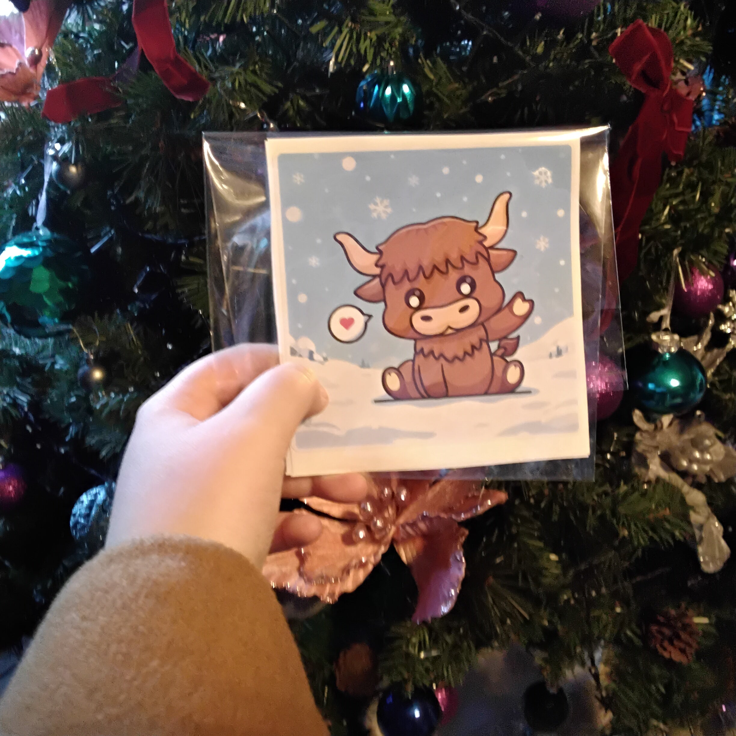 Hilghland cows sticker